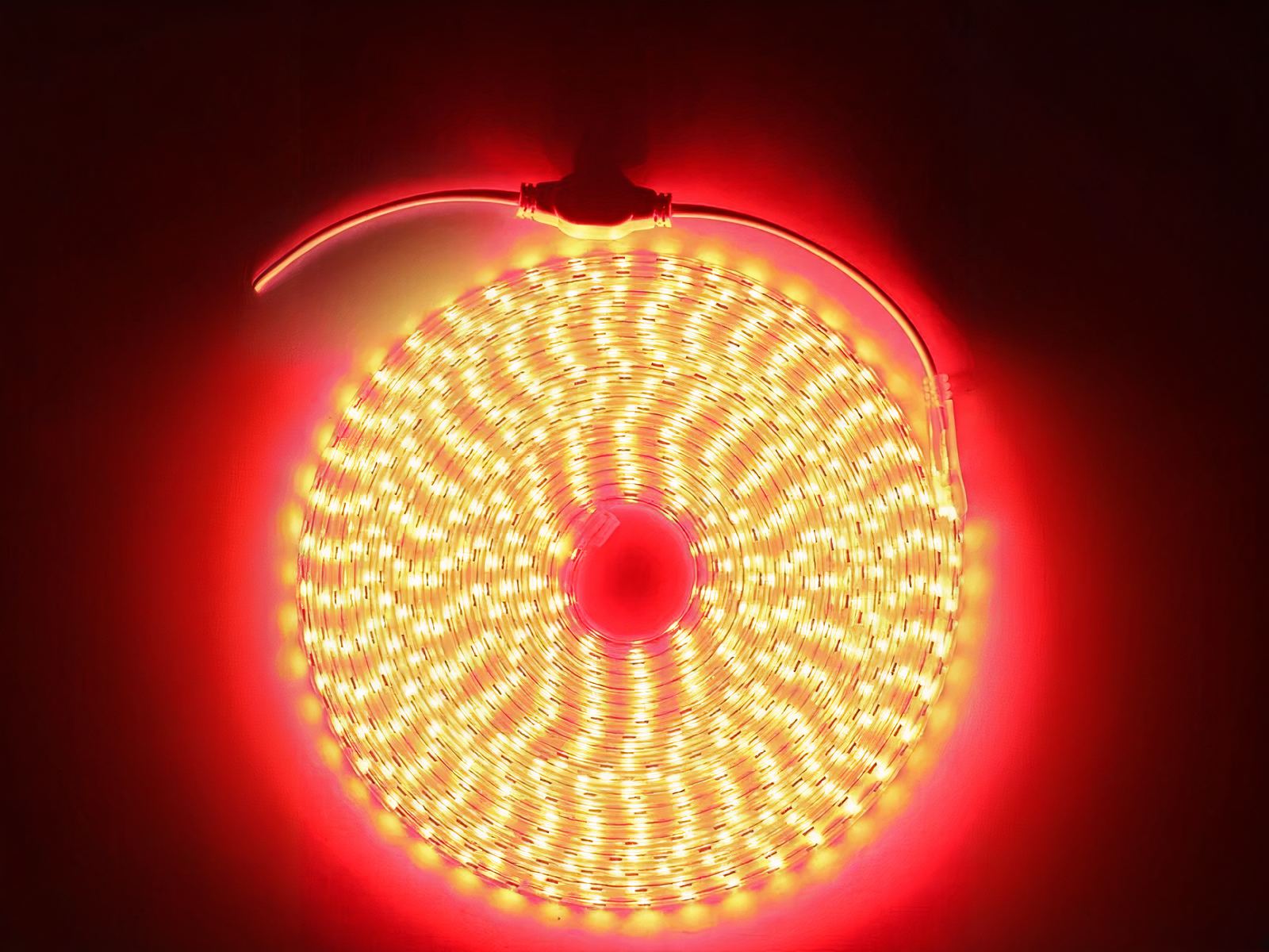 Ruban LED 220V décoratif et étanche