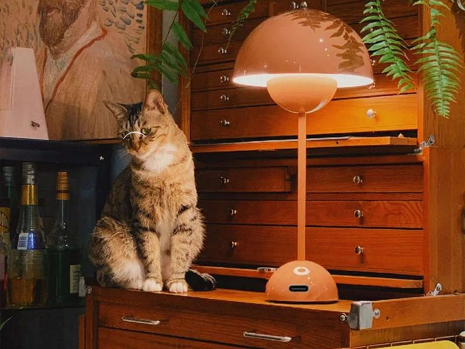 IMG 0924_LAMPE_LED_TACTILE_008