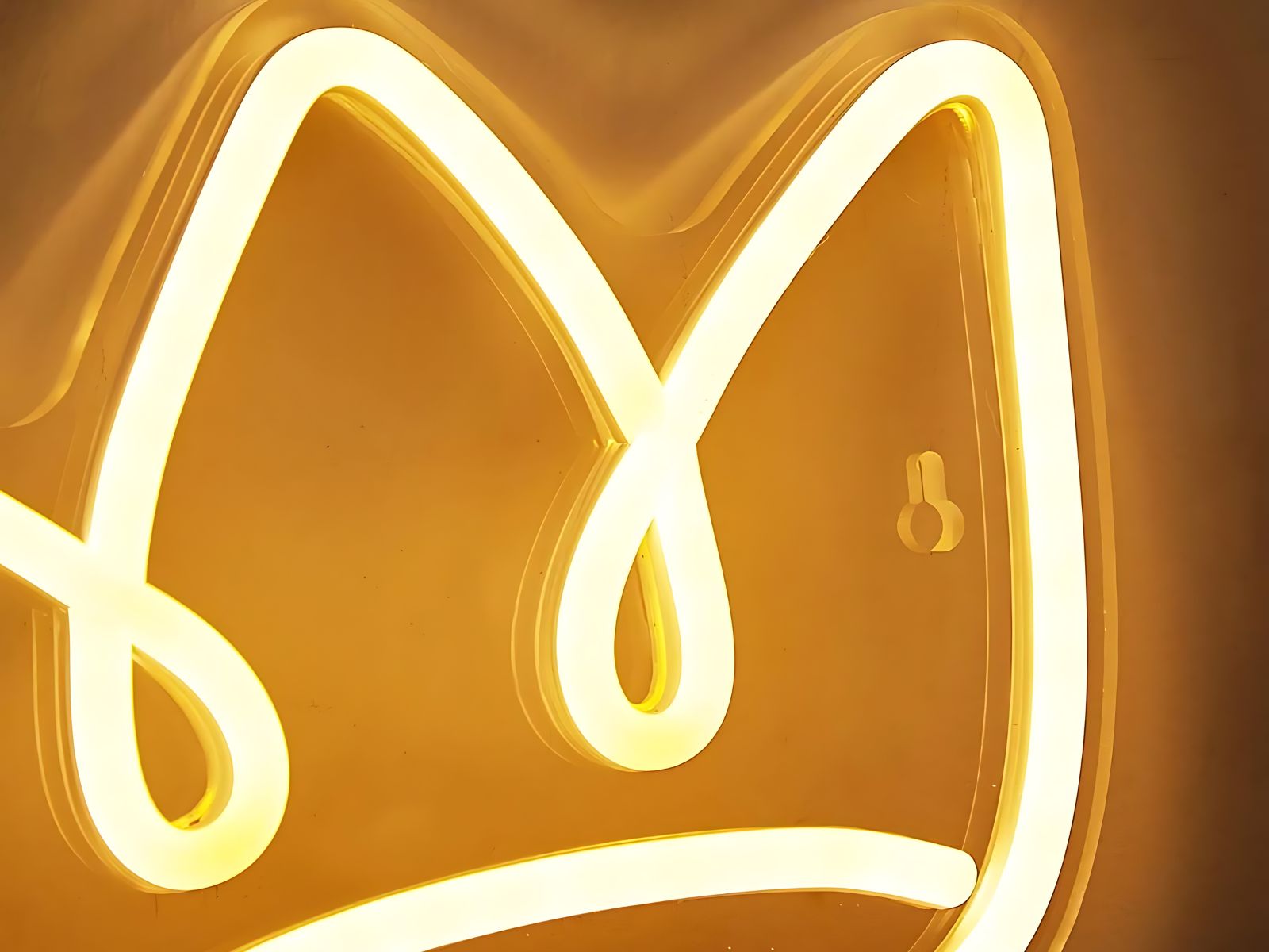 IMG_0924_ENSEIGNE_ COURONNE_NEON_LED_004