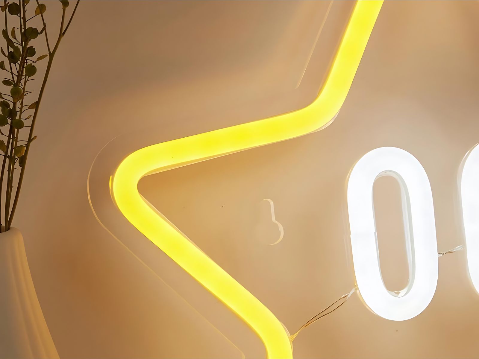 IMG_0924_ENSEIGNE_ ETOILE_NEON_LED_003