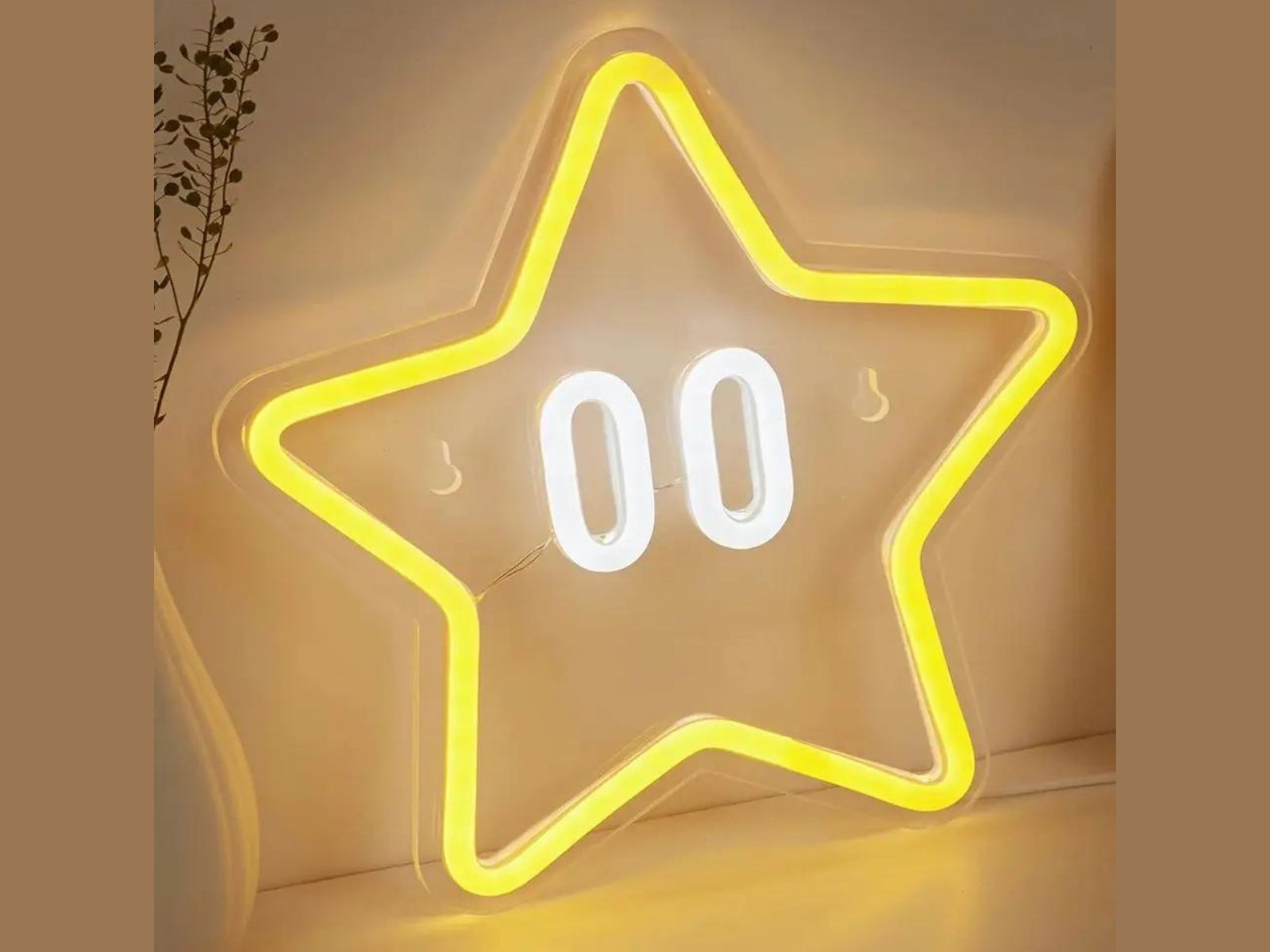 IMG_0924_ENSEIGNE_ ETOILE_NEON_LED_004