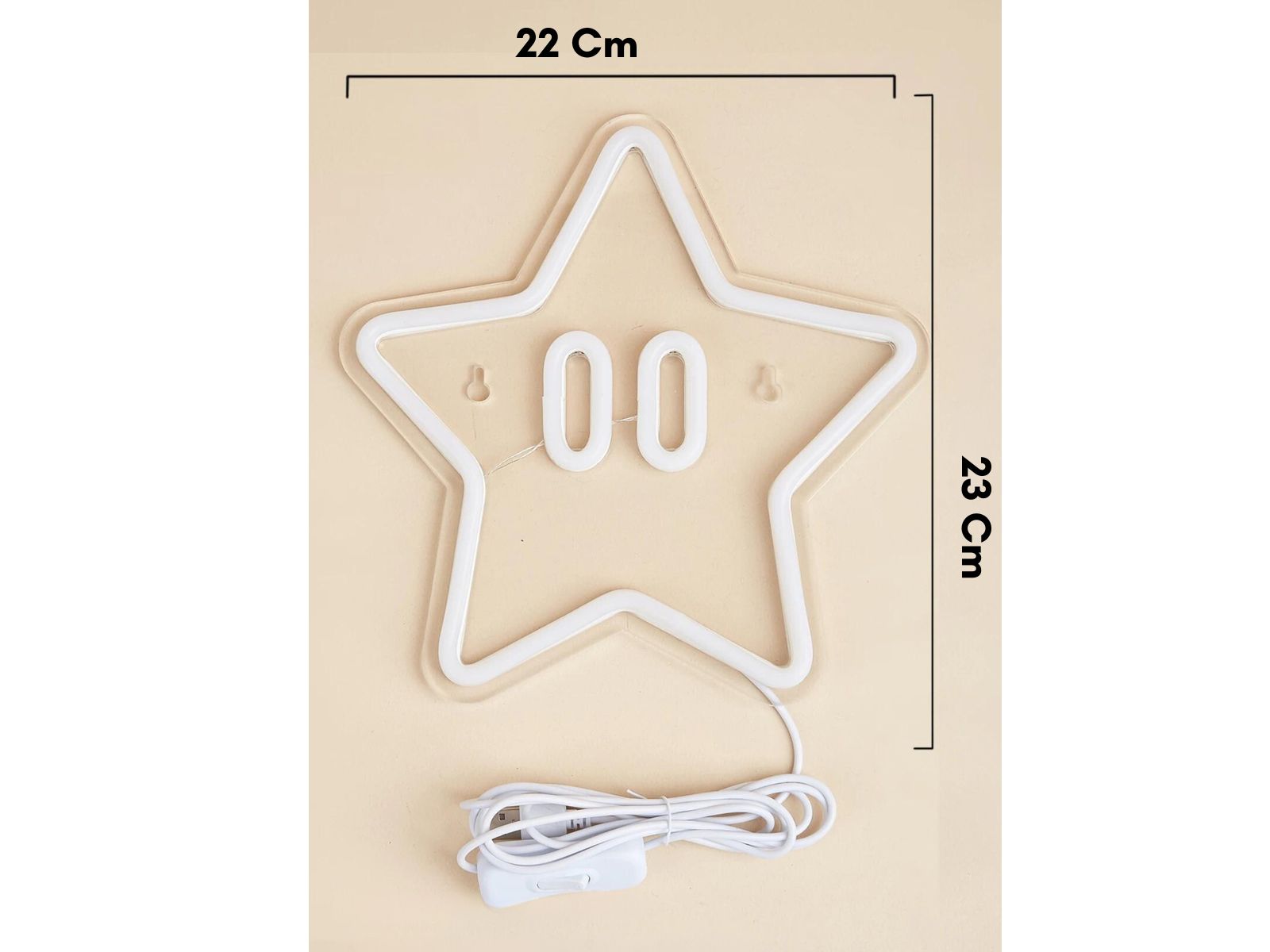 IMG_0924_ENSEIGNE_ ETOILE_NEON_LED_005