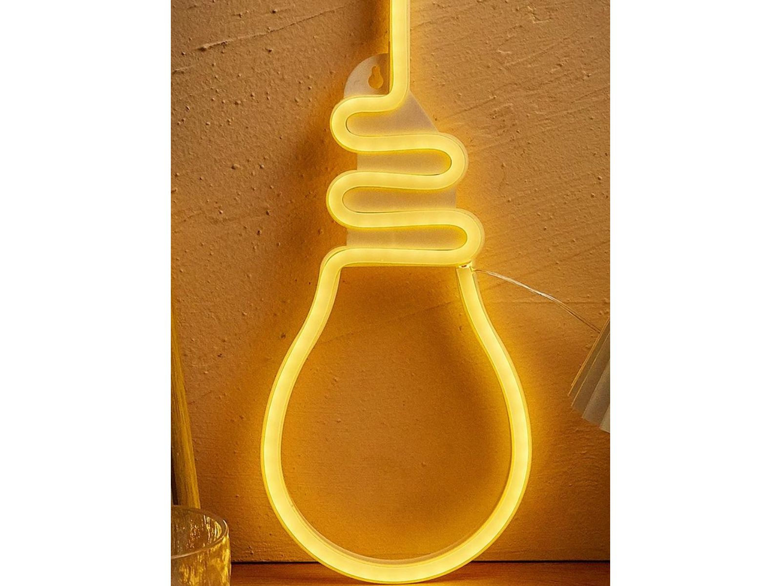 IMG_0924_ENSEIGNE_ NEON_LED_AMPOULE A ACCROCHER_002