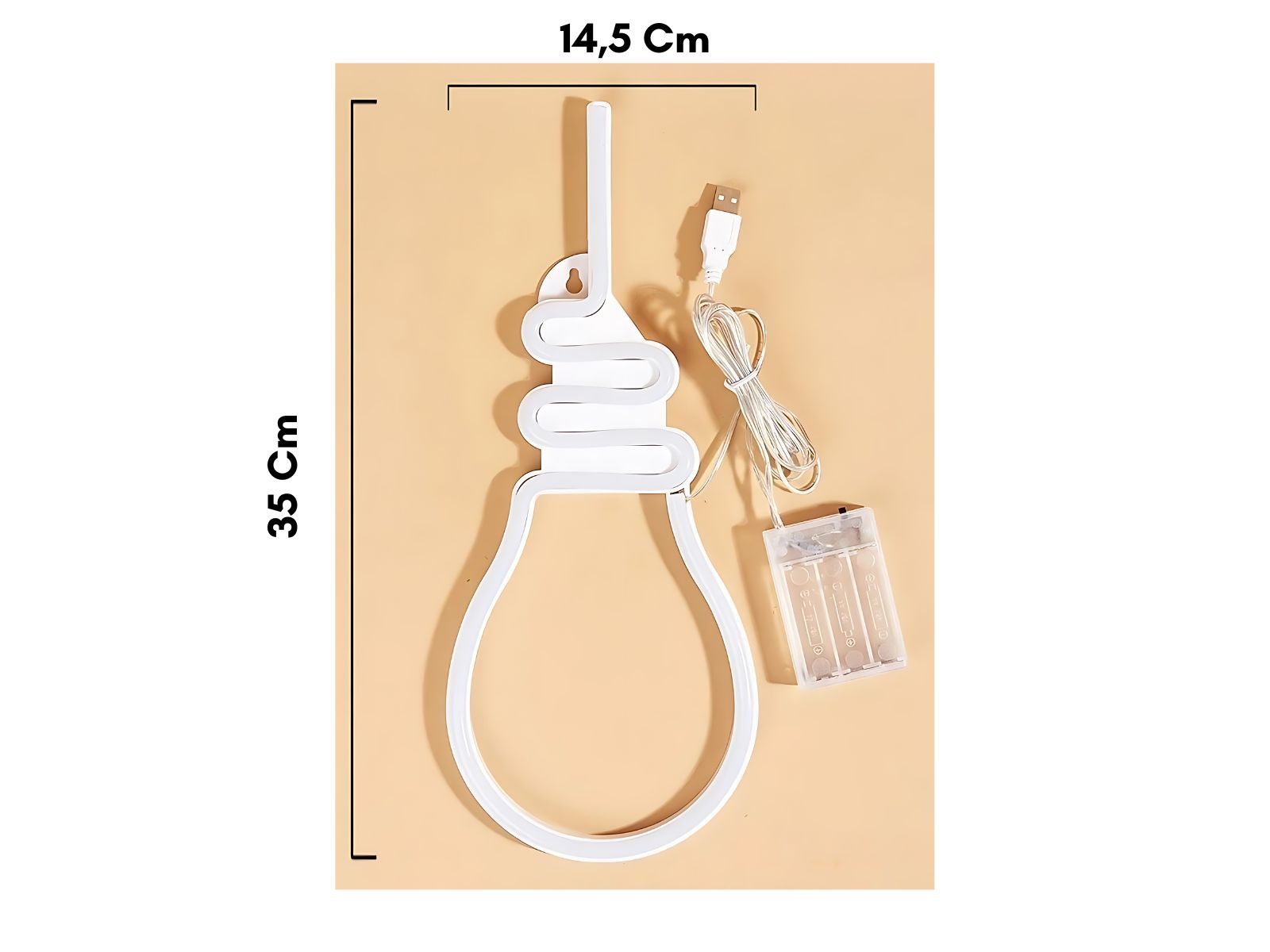 IMG_0924_ENSEIGNE_ NEON_LED_AMPOULE A ACCROCHER_004