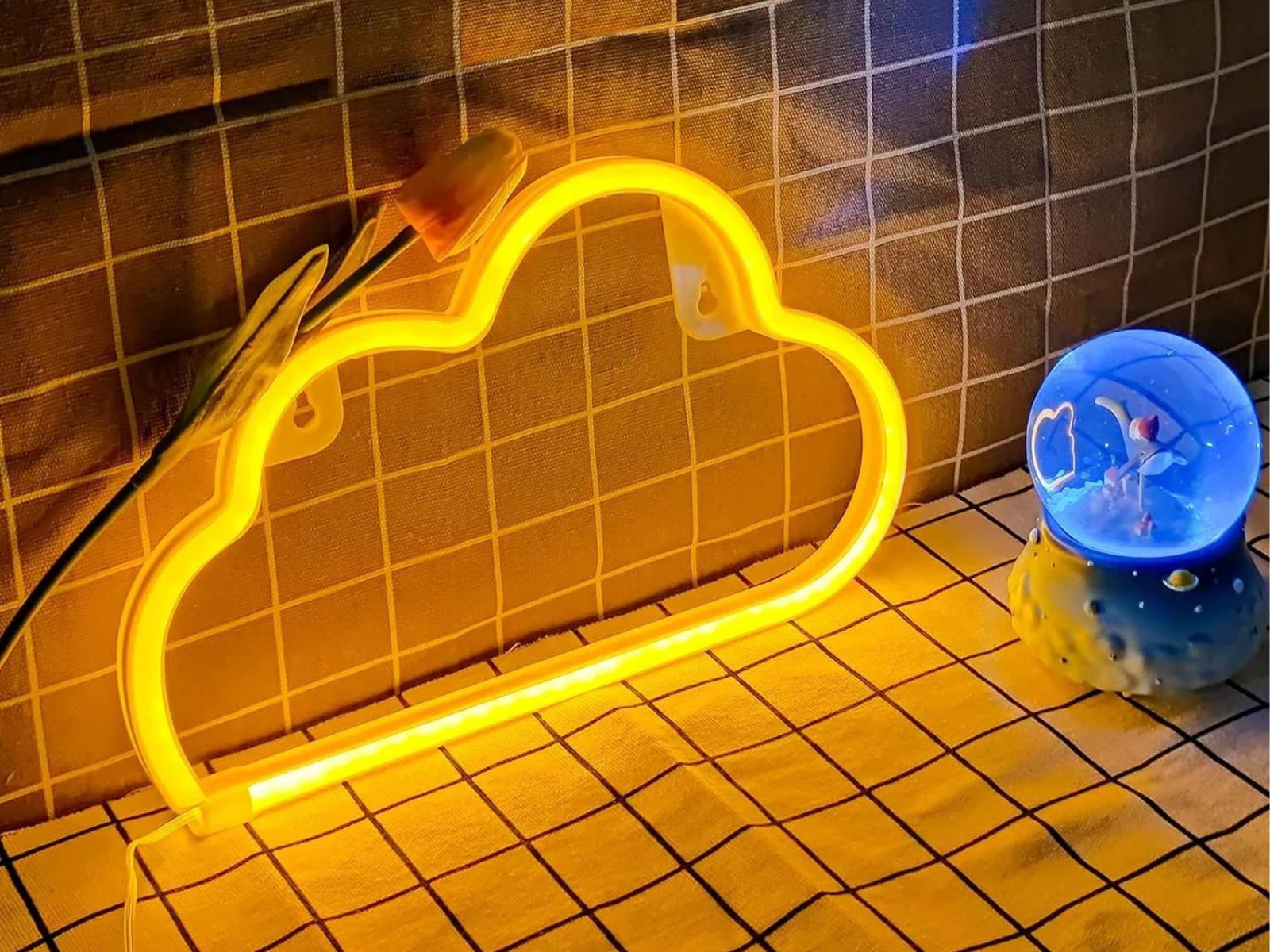 IMG_0924_ENSEIGNE_ NUAGE_NEON_LED_002