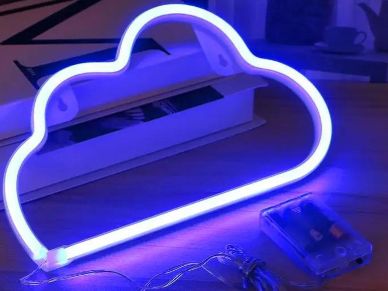 IMG_0924_ENSEIGNE_ NUAGE_NEON_LED_003