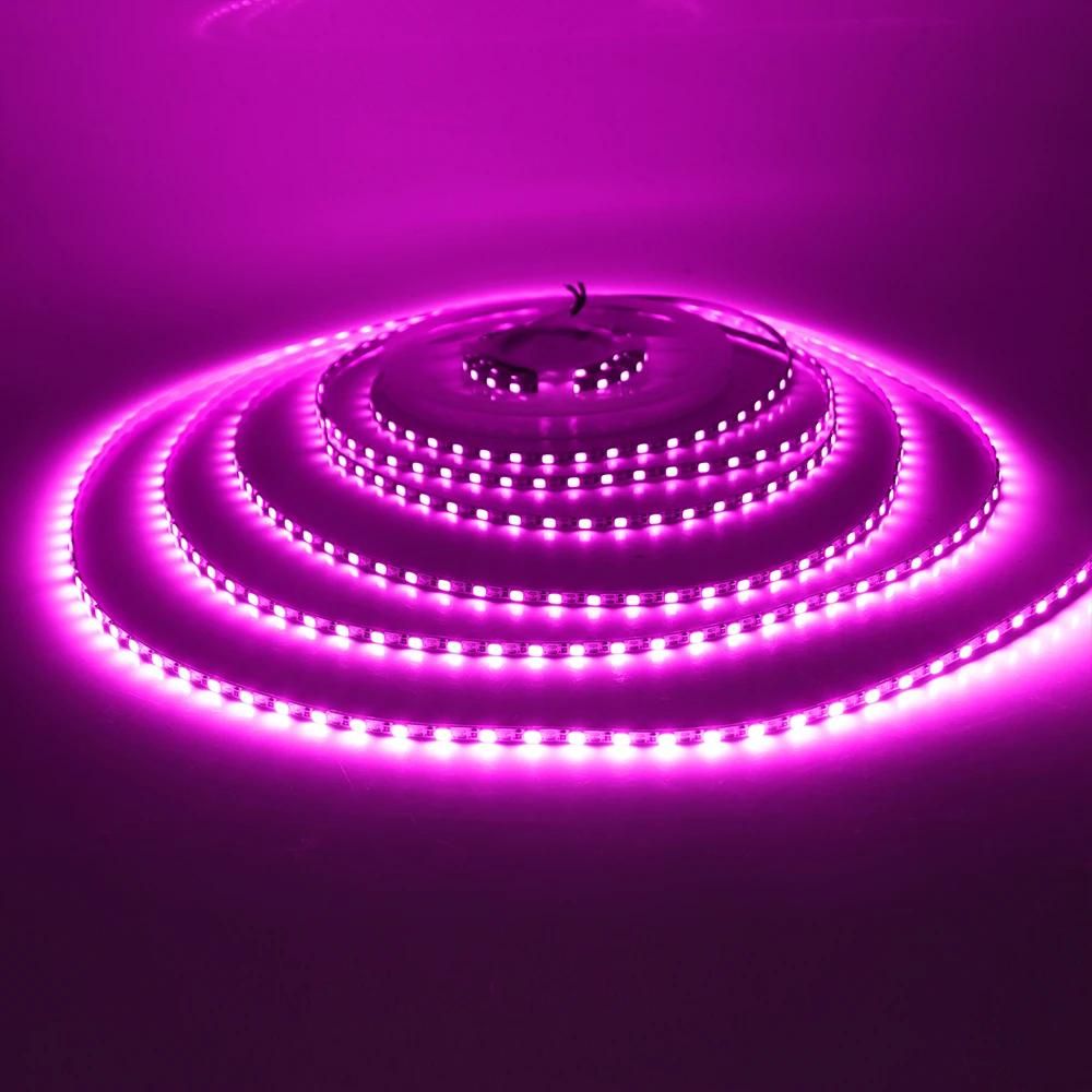 Ruban LED ultra fin Ruban LED ultra fin – Image 11