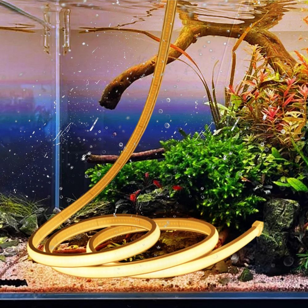 IMG_0924_RUBAN_SOLAIRE_NEON_LED_COB_RGB_002